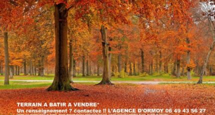 Mennecy Maison neuve - 2309668-10545annonce320251017qXbB0.jpeg Maisons Balency