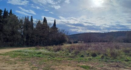 Palau-del-Vidre Maison neuve - 2342610-4671annonce120251119le77C.jpeg Maisons Balency