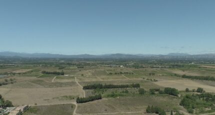 Ponteilla Terrain à bâtir - 2346174-4671annonce120251121PZOfS.jpeg Maisons Balency