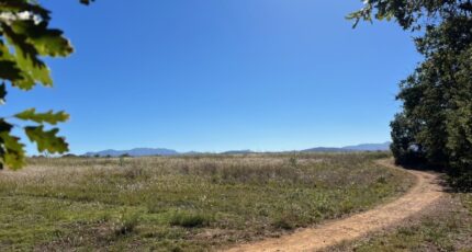 Llupia Terrain à bâtir - 2316638-4671annonce120251024NFOTJ.jpeg Maisons Balency