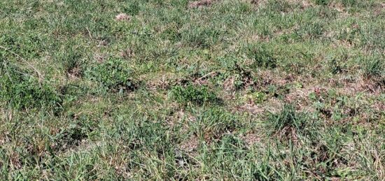 Terrain à bâtir à Toulouges, Occitanie