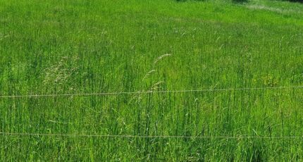 Toulouges Terrain à bâtir - 2348214-4671annonce120251125ID12f.jpeg Maisons Balency