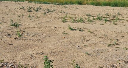 Corneilla-del-Vercol Maison neuve - 2348234-4671annonce120251125G5yBd.jpeg Maisons Balency