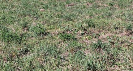 Toulouges Maison neuve - 2348207-4671annonce120251125pUFuo.jpeg Maisons Balency