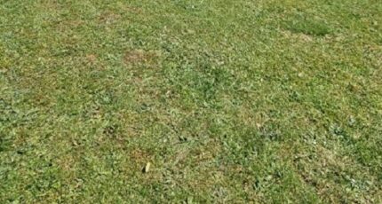 Mormant Maison neuve - 2249205-5508annonce120250823d1lFQ.jpeg Maisons Balency