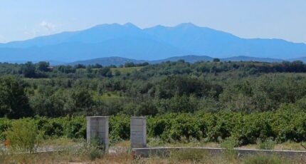 Tresserre Terrain à bâtir - 2259371-4671annonce120250903CSt4F.jpeg Maisons Balency