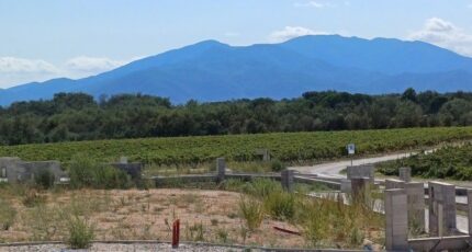 Tresserre Terrain à bâtir - 2259444-4671annonce120250903voFhg.jpeg Maisons Balency