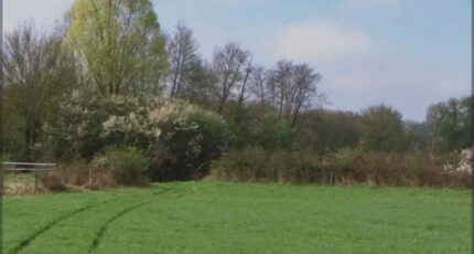 Garches Maison neuve - 2283773-11374annonce120250902CtOcv.jpeg Maisons Balency