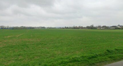 Marolles-sur-Seine Terrain à bâtir - 2325107-10545annonce120251031v5cf1.jpeg Maisons Balency