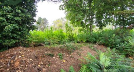 Pontoise Maison neuve - 2326729-11688annonce120251103uFQL6.jpeg Maisons Balency