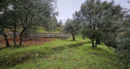 Berre-les-Alpes Maison neuve - 2293467-10633annonce120250605KTmCQ.jpeg Maisons Balency