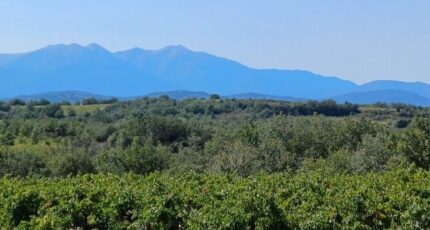 Tresserre Maison neuve - 2327888-4671annonce120251104S5bs4.jpeg Maisons Balency