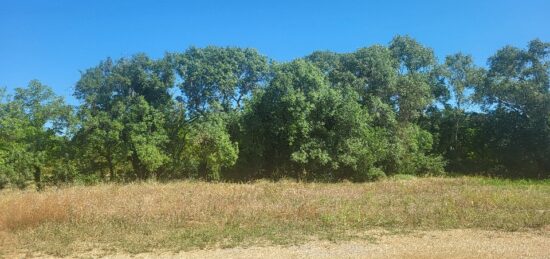 Terrain à bâtir à , Gard