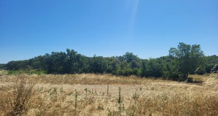 Montagnac Maison neuve - 2328916-11556annonce120251105Z1dTd.jpeg Maisons Balency