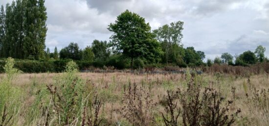 Terrain à bâtir à Saint-Gatien-des-Bois, Normandie