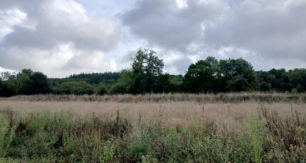 Le Breuil-en-Auge Terrain à bâtir - 2260539-11563annonce120250904HFhWf.jpeg Maisons Balency