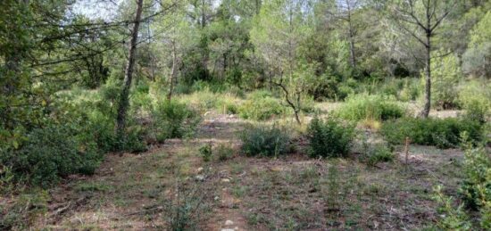 Terrain à bâtir à Combaillaux, Occitanie