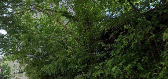 Terrain à bâtir à Breuillet, Île-de-France