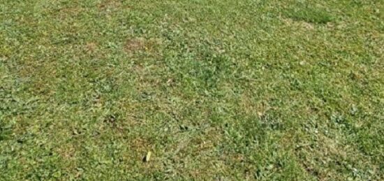 Terrain à bâtir à Coulommiers, Île-de-France