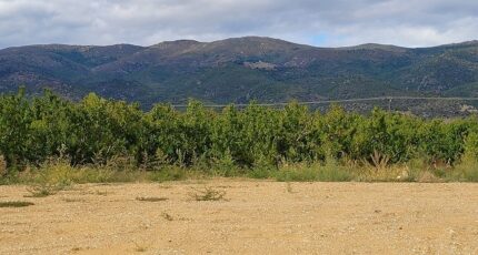 Los Masos Maison neuve - 2290571-4671annonce120251002KzQyR.jpeg Maisons Balency