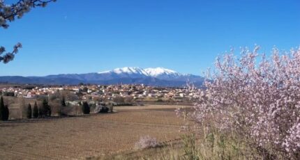 Ponteilla Maison neuve - 2291430-4671annonce120251002r9lVV.jpeg Maisons Balency