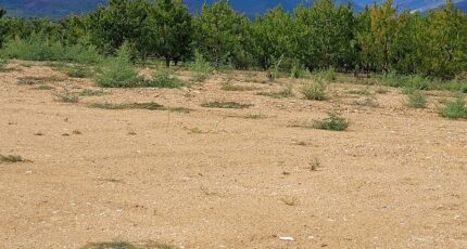 Los Masos Maison neuve - 2290611-4671annonce120251002VTRU1.jpeg Maisons Balency