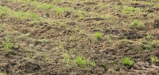 Terrain à bâtir à , Seine-Maritime