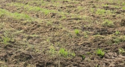 Franqueville-Saint-Pierre Maison neuve - 2253464-5578annonce120250828TOnia.jpeg Maisons Balency