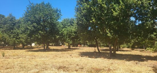 Terrain à bâtir à , Gard