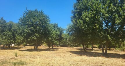 Montignargues Terrain à bâtir - 2321435-11556annonce220251029FMcOQ.jpeg Maisons Balency