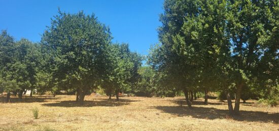 Terrain à bâtir à , Gard