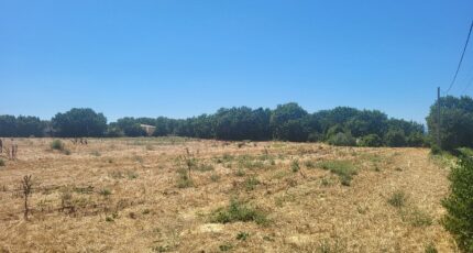 Blauzac Terrain à bâtir - 2321509-11556annonce3202510290LaJp.jpeg Maisons Balency