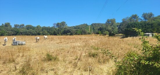 Terrain à bâtir à , Gard