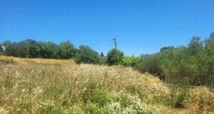 Sauzet Terrain à bâtir - 2321798-11556annonce420251030lzGo7.jpeg Maisons Balency