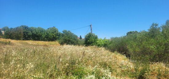 Terrain à bâtir à , Gard