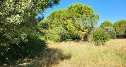 Alès Maison neuve - 2321252-11556annonce320251029lbZvR.jpeg Maisons Balency