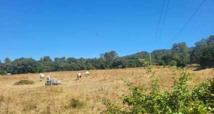 Orthoux-Sérignac-Quilhan Maison neuve - 2321771-11556annonce320251030RKKs2.jpeg Maisons Balency