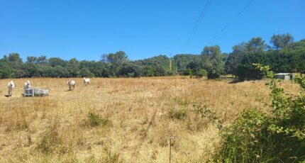 Orthoux-Sérignac-Quilhan Maison neuve - 2321771-11556annonce420251030Kw582.jpeg Maisons Balency