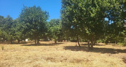 Montignargues Maison neuve - 2321425-11556annonce220251029neU7M.jpeg Maisons Balency