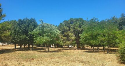 Montignargues Maison neuve - 2321425-11556annonce320251029gPpWO.jpeg Maisons Balency