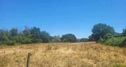 Blauzac Maison neuve - 2321518-11556annonce4202510295ZtJS.jpeg Maisons Balency