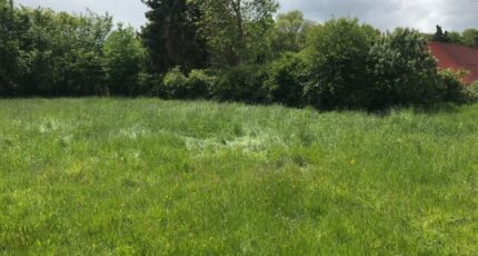 Bazemont Maison neuve - 2354601-11246annonce1202512022bhuf.jpeg Maisons Balency