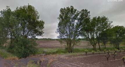 Lézignan-la-Cèbe Maison neuve - 2260002-11507annonce120250904hb0dN.jpeg Maisons Balency