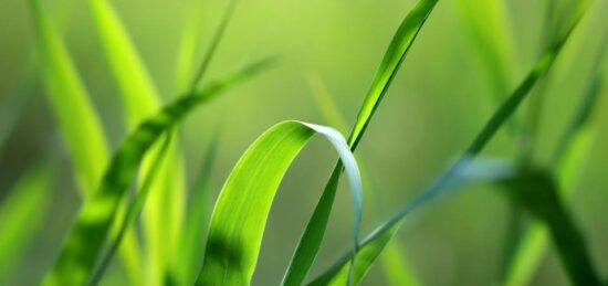 Terrain à bâtir à Offranville, Normandie