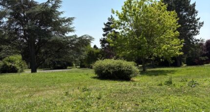 Orgeval Maison neuve - 2359488-11688annonce120251205m2TAg.jpeg Maisons Balency