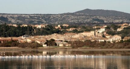 La Palme Maison neuve - 2359686-4671annonce120251205FDKHp.jpeg Maisons Balency