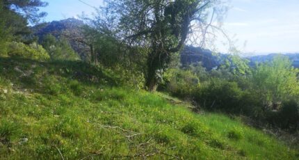 Saint-André-de-la-Roche Terrain à bâtir - 2324364-3059annonce120251031ftPgl.jpeg Maisons Balency