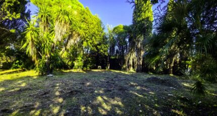 Villeneuve-Loubet Terrain à bâtir - 2361930-3059annonce220251209nhlgt.jpeg Maisons Balency