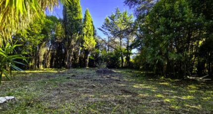 Villeneuve-Loubet Terrain à bâtir - 2361930-3059annonce420251209sucU5.jpeg Maisons Balency