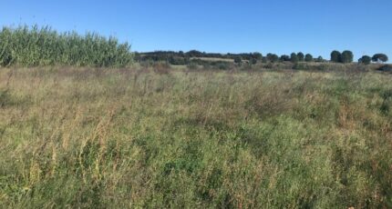 Saint-Mathieu-de-Tréviers Maison neuve - 2251116-10245annonce120250826ZTVhf.jpeg Maisons Balency